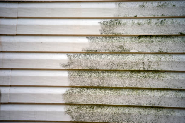 Moving and Downsizing Cleanouts in Farmington, PA
